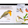 V zahradě - rozpohybovaná kniha  Kolektiv, ilustrace Amélie Faliére