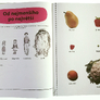 Velký sešit Montessori CESTA  Marie - Héléne Place, Caroline Fontaine - Riquier