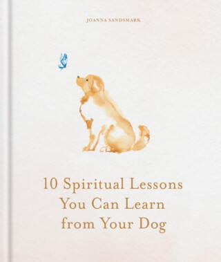10 Spiritual Lessons You Can Learn from Your Dog - Joanna Sandsmark
