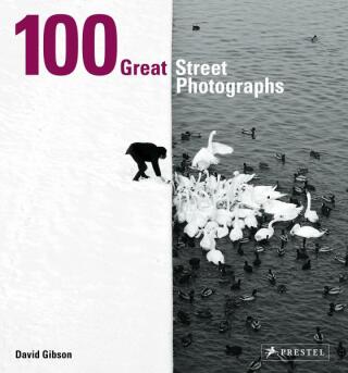 100 Great Street Photographs - David Gibson