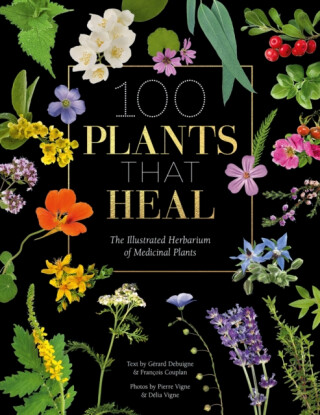 100 Plants That Heal - FrancOis Couplan,Pierre and DeLia Vignes,GeRard Debuigne