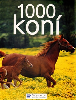 1000 koní - 