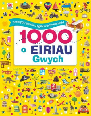 1000 o Eiriau Gwych - Dawn Sirett