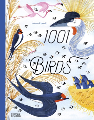1001 Birds - Joanna Rzezak