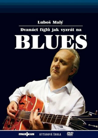 12 fíglů jak vyzrát na blues - Kytarová škola - DVD - Malý Luboš