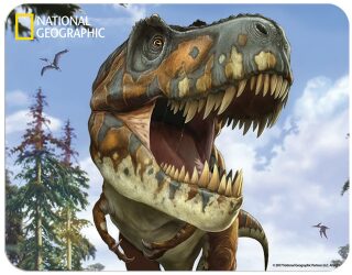 3D MAGNET-Tyrannosaurus Rex - 