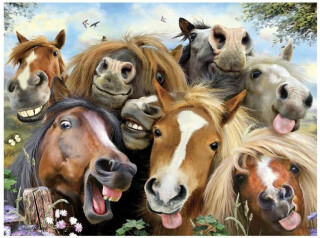 3D PLAKÁT - Koní Selfie - 