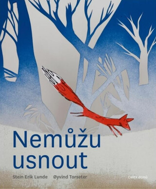 Nemůžu usnout - Lunde Stein Erik