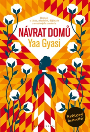 Návrat domů - Yaa Gyasi