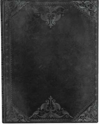 Zápisník Paperblanks - Midnight Rebel Bold - Flexis Ultra tečkovaný - 