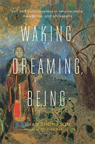 Waking, Dreaming, Being : Self and Consciousness in Neuroscience, Meditation, and Philosophy - Evan Thompson