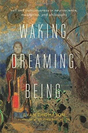 Waking, Dreaming, Being : Self and Consciousness in Neuroscience, Meditation, and Philosophy - Evan Thompson