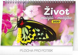 Stolní kalendář Život motýlů – motýlov 2020 (Defekt) - neuveden