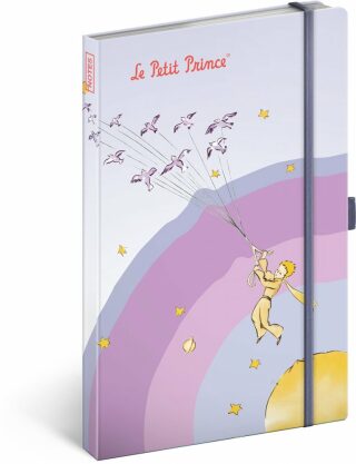 Notes Malý princ - Má planeta, linkovaný, 13 × 21 cm - neuveden