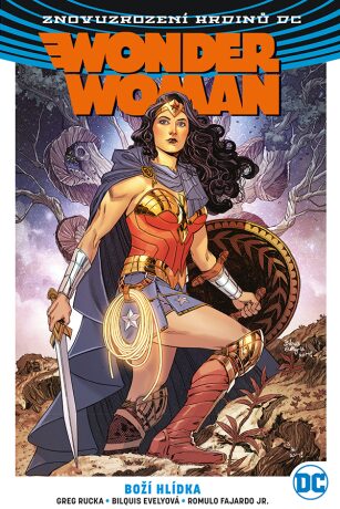 Wonder Woman 4 - Boží hlídka - Greg Rucka,Nicola Scott