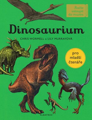 Dinosaurium - pro mladší čtenáře (Defekt) - Lily Murrayová
