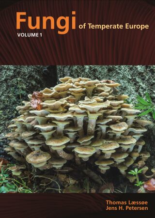 Fungi of Temperate Europe - Thomas Laessoe,Jens Petersen