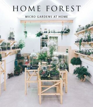 Home Forest: Interior Micro Gardens - Francesc Zamora