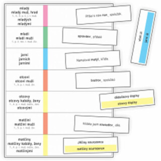 Koncovky přídavných jmen - kartičky k procvičování psaní I, Í, Y, Ý v koncovkách přídavných jmen a k procvičování vzorů mladý, jarní, otcův a matčin - Jitka Rubínová