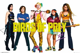 Plakát 61x91,5cm Birds Of Prey - Group - 