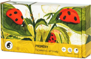 Proměny - Jitka Musilová,Aneta Františka Holasová