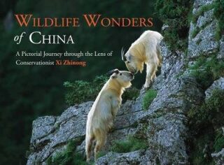 Wildlife Wonders of China : A Pictorial Journey through the Lens of Conservationist Xi Zhinong - Zhinong Xi