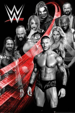 Plakát WWE - Superstars Swoosh - 