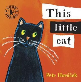 This Little Cat - Petr Horáček