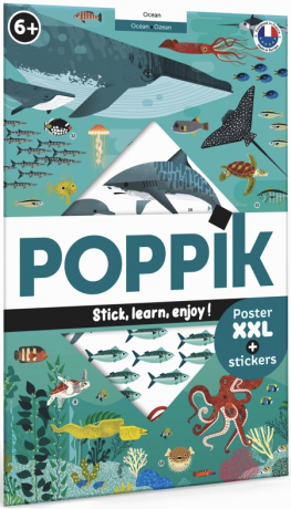 Vzdělávací samolepkový plakát Oceán - neuveden