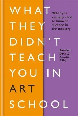 What They Didn´t Teach You in Art School - Davis Rosalind