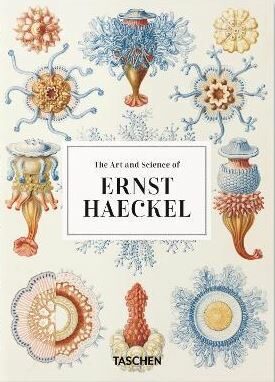 The Art and Science of Ernst Haeckel - 40th Anniversary Edition - Rainer Willmann,Julia Voss