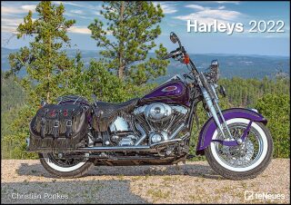 2022 Cal Harleys  42x29,7 - 