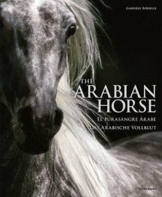 The Arabian Horse - Gabrielle Boiselleová