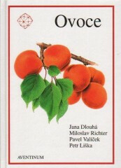 Ovoce - Jana Dlouhá