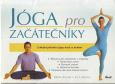 Jóga pro začátečníky - Larková Liz,Mark Ansari