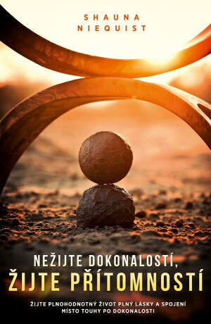 Nežijte dokonalostí, žijte přítomností - Shauna Niequist