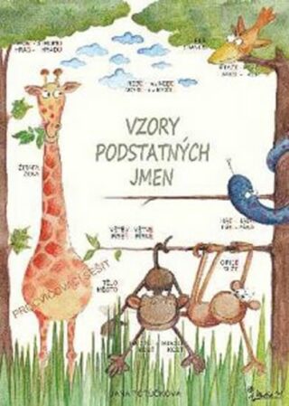 Vzory podstatných jmen - Procvičovací sešit z ČJ pro 4. ročník ZŠ - Jana Potůčková