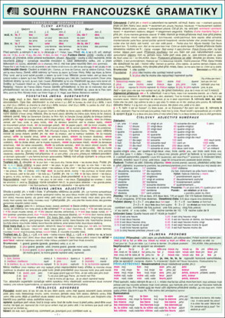 SOUHRN FRANCOUZSKÉ GRAMATIKY A4 - Vratislav Slezák