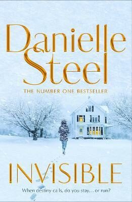 Invisible - Danielle Steel
