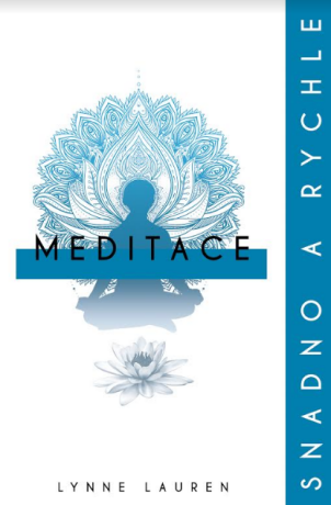 Meditace: snadno a rychle - Lynne Lauren