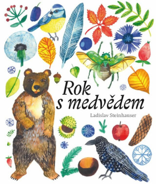 Rok s medvědem - Steinhauser Ladislav