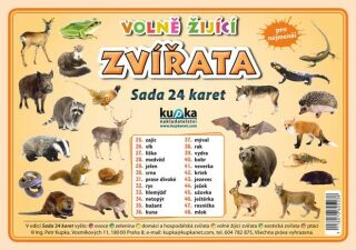 Sada 24 karet - zvířata (volně žijící) A5 - Petr Kupka