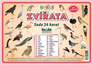 Sada 24 karet - zvířata (ptáci) A5 - Petr Kupka