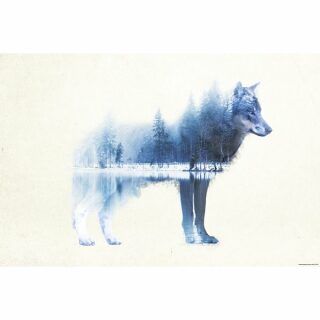 Plakát 61x91,5cm – Forest Wolf - 