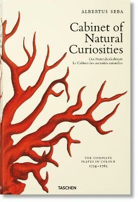 Seba. Cabinet of Natural Curiosities - Rainer Willmann,Irmgard Müsch,Jes Rust