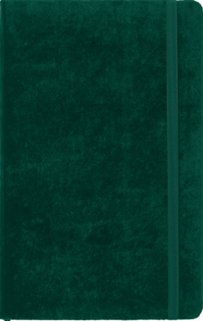 Moleskine Velvet zápisník zelený L - neuveden