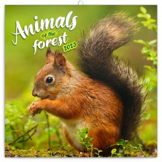 Poznámkový kalendář Zvířátka z lesa 2023 - neuveden