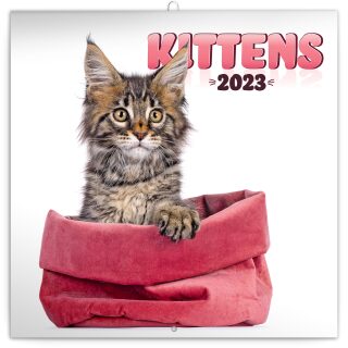 Poznámkový kalendář Koťata 2023 - neuveden