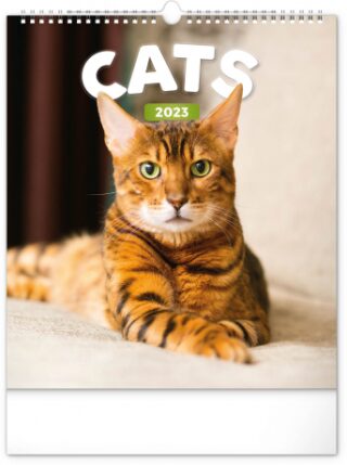 Nástěnný kalendář Kočky 2023 - neuveden