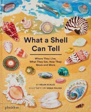 What A Shell Can Tell: Where They Live, What They Eat, How They Move, and More - Helen Scales